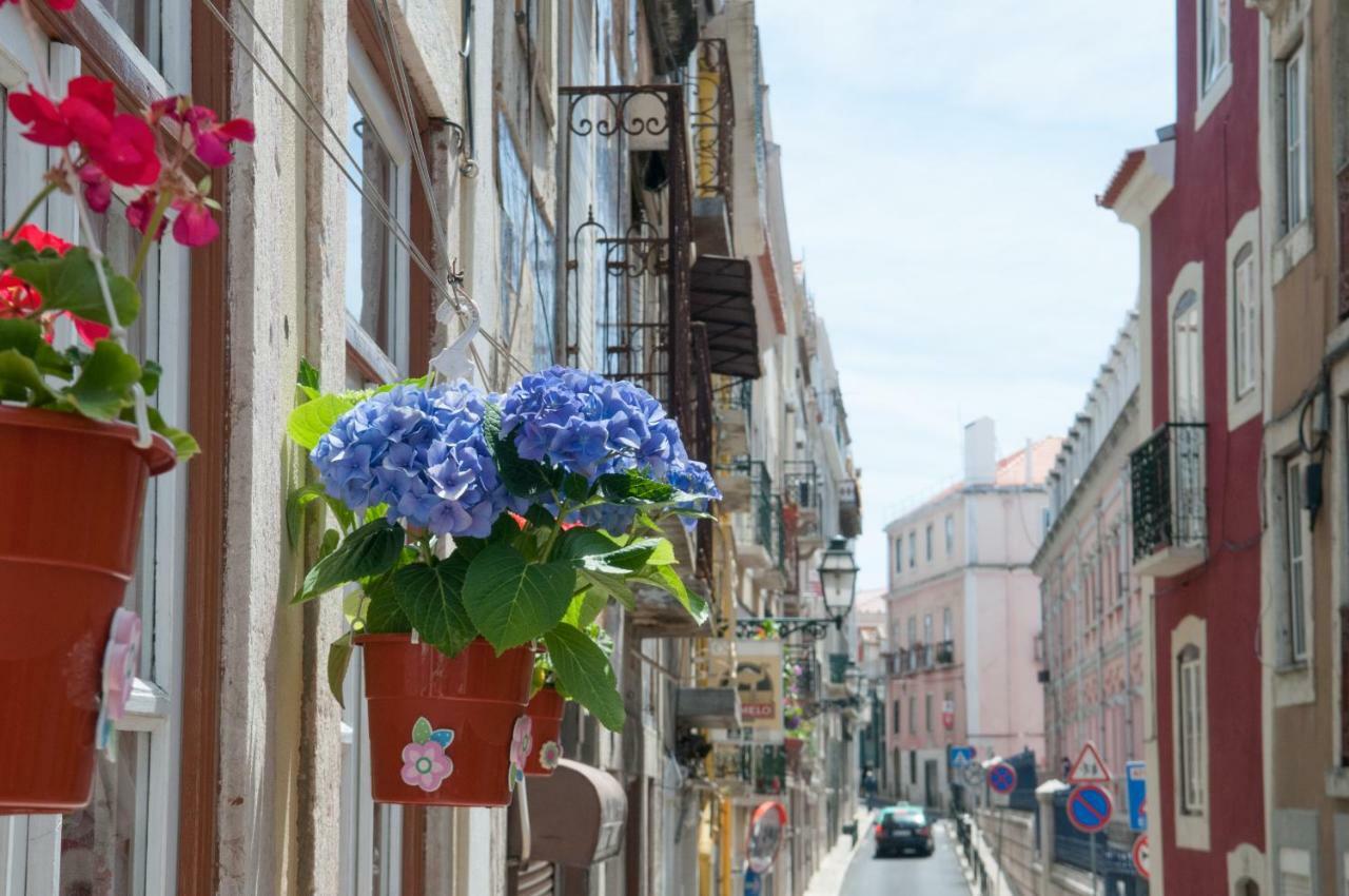 Pretty Views Apartment Lisbon Bagian luar foto